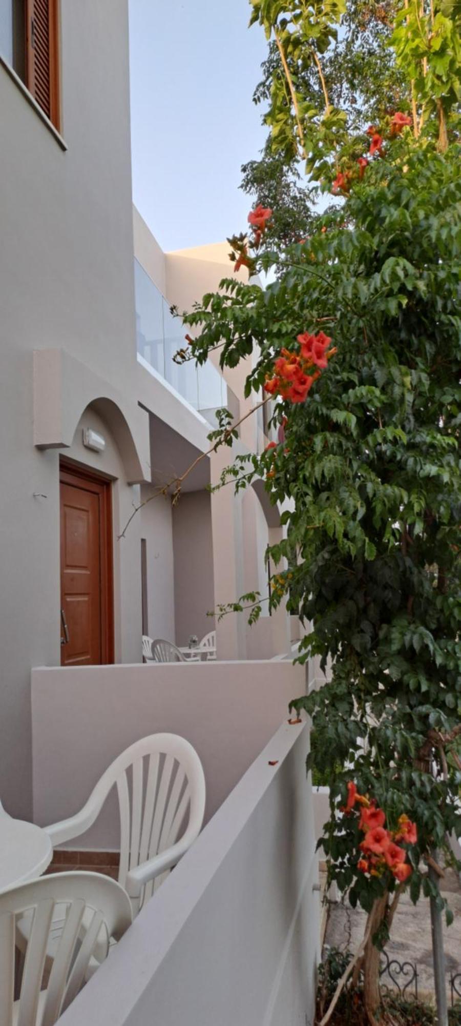 Viena Rooms & Apartments Palaiochora Exterior foto